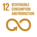 SDG 12: Responsible Consumption